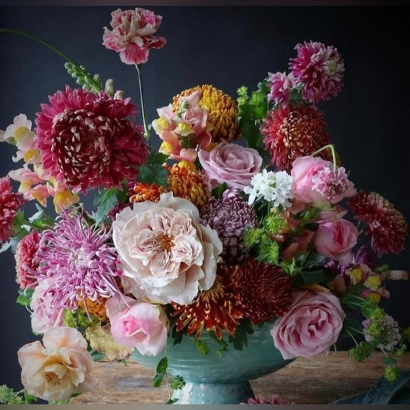 Meet your Posher, Lucia - Picture 2 of 2